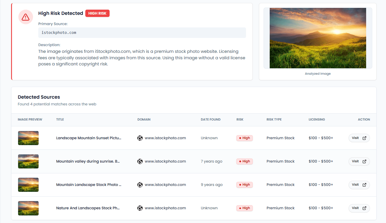 Sample copyright risk report